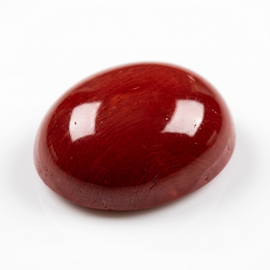 Red Coral photo